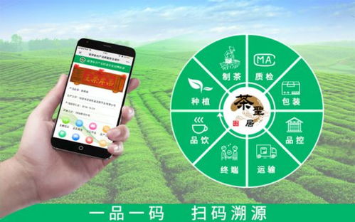 科技創(chuàng)新保障食品安全 茶圣居開創(chuàng)中國茶葉掃碼溯源新起點(diǎn)